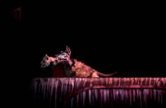 Día del Teatro.