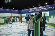 FILBo 2019