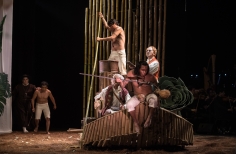 El bosque sobre el bosque.