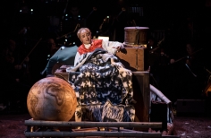 El bosque sobre el bosque.