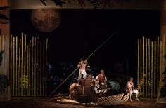 El bosque sobre el bosque.