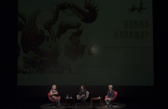 Donna Haraway 