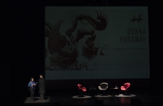 Donna Haraway 