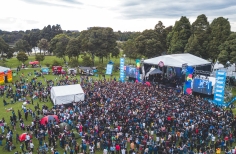 Festival Crea 2019