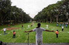 Meditación Ancestral al Parque