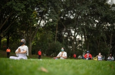 Meditación Ancestral al Parque