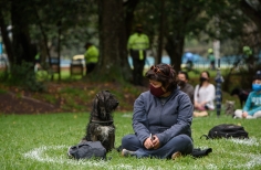 Meditación Ancestral al Parque