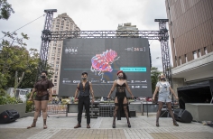 Pelis X Bogotá -  Ciclo Rosa.