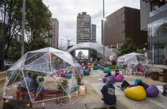 Pelis X Bogotá -  Ciclo Rosa.