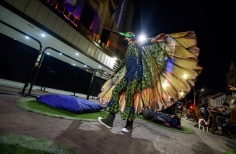 Concierto desde la Terraza para transeúntes, TJEG.