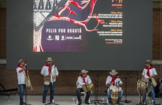 Pelis x Bogotá - Muestra afro.