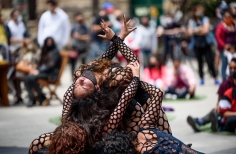 Festival Danza en la Ciudad - Parque Santander.