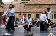 Festival Danza en la Ciudad - Parque Santander.