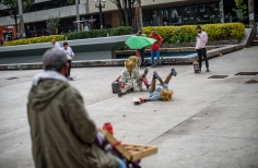 Festival Danza en la Ciudad - Parque Santander.
