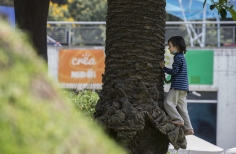 Contemplación al Parque 