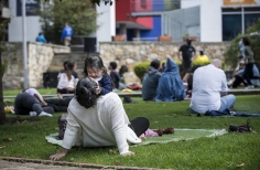 Contemplación al Parque 