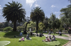 Contemplación al Parque 