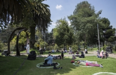 Contemplación al Parque 