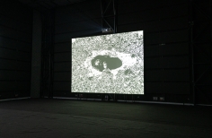 Camilo Restrepo, Videoinstalación - Tele-Visión.