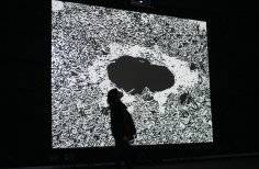 Camilo Restrepo, Videoinstalación - Tele-Visión.