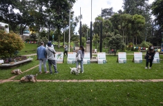 El Mercado de las Aves de EnvolVert en el Teatro el Parque