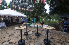 El Mercado de las Aves de EnvolVert en el Teatro el Parque