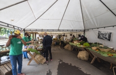 El Mercado de las Aves de EnvolVert en el Teatro el Parque