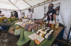 El Mercado de las Aves de EnvolVert en el Teatro el Parque