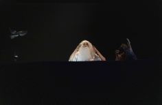 El Mercado de las Aves de EnvolVert en el Teatro el Parque