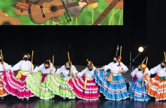 Título: Tortazo Rural: homenaje a Luis Alberto Aljure Lis "Guafa"