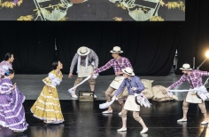 Título: Tortazo Rural: homenaje a Luis Alberto Aljure Lis "Guafa"