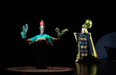 Ballet Nacional de Colombia, Homenaje Sonia Osorio