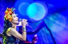 Cimarrón, Gaitán Polifónico