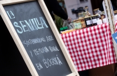 La Semilla: Sostenibilidad, Arte y Memoria
