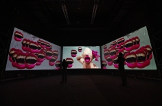 Inauguración videoinstalación Mojana - Ciclo Rosa 