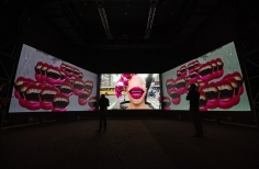 Inauguración videoinstalación Mojana - Ciclo Rosa 
