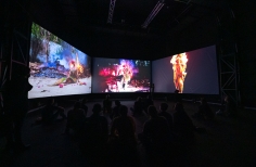 Inauguración videoinstalación Mojana - Ciclo Rosa 