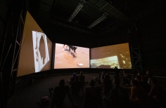 Inauguración videoinstalación Mojana - Ciclo Rosa 