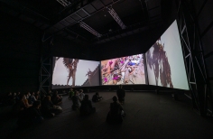 Inauguración videoinstalación Mojana - Ciclo Rosa 