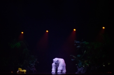 Low Cost: teatro sustentable en el Gaitán