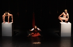 El teatro y el cierco se encuentran.