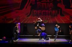 Biva Región