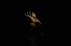 Cellule - Clausura Festival Danza en la Ciudad