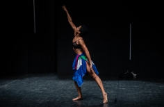 Cellule - Clausura Festival Danza en la Ciudad