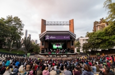 Homenaje a Totó la Momposina