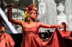 Homenaje a Totó la Momposina