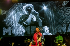 Homenaje a Totó la Momposina