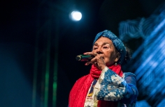 Homenaje a Totó la Momposina