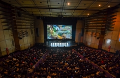 Inauguración Bogoshorts