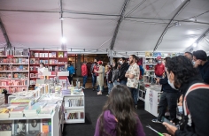 Pequeños Conciertos en Librerías.
